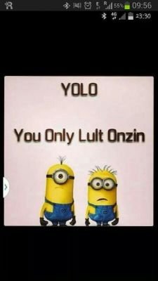 tomwegdam's profile picture. 