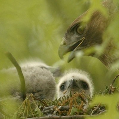 Bubbah's profile picture. 