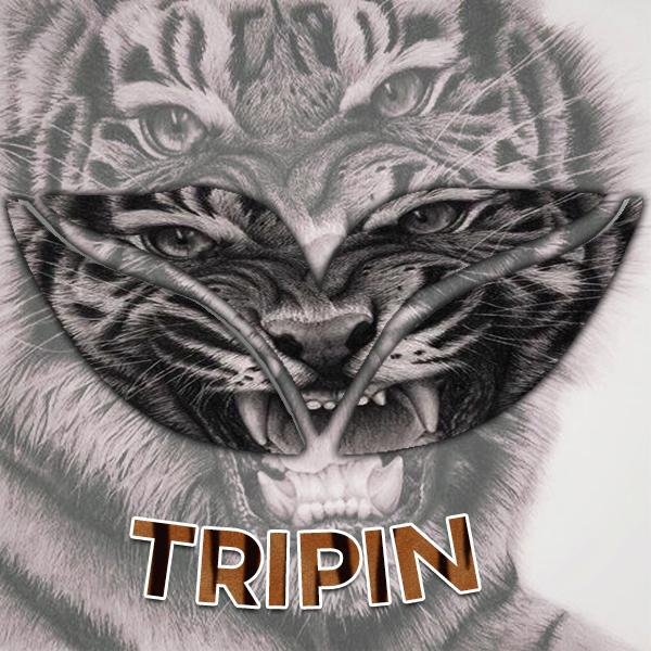 FMJ Tripin
