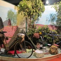 Freda Davies (@freda_davies) 's Twitter Profile Photo