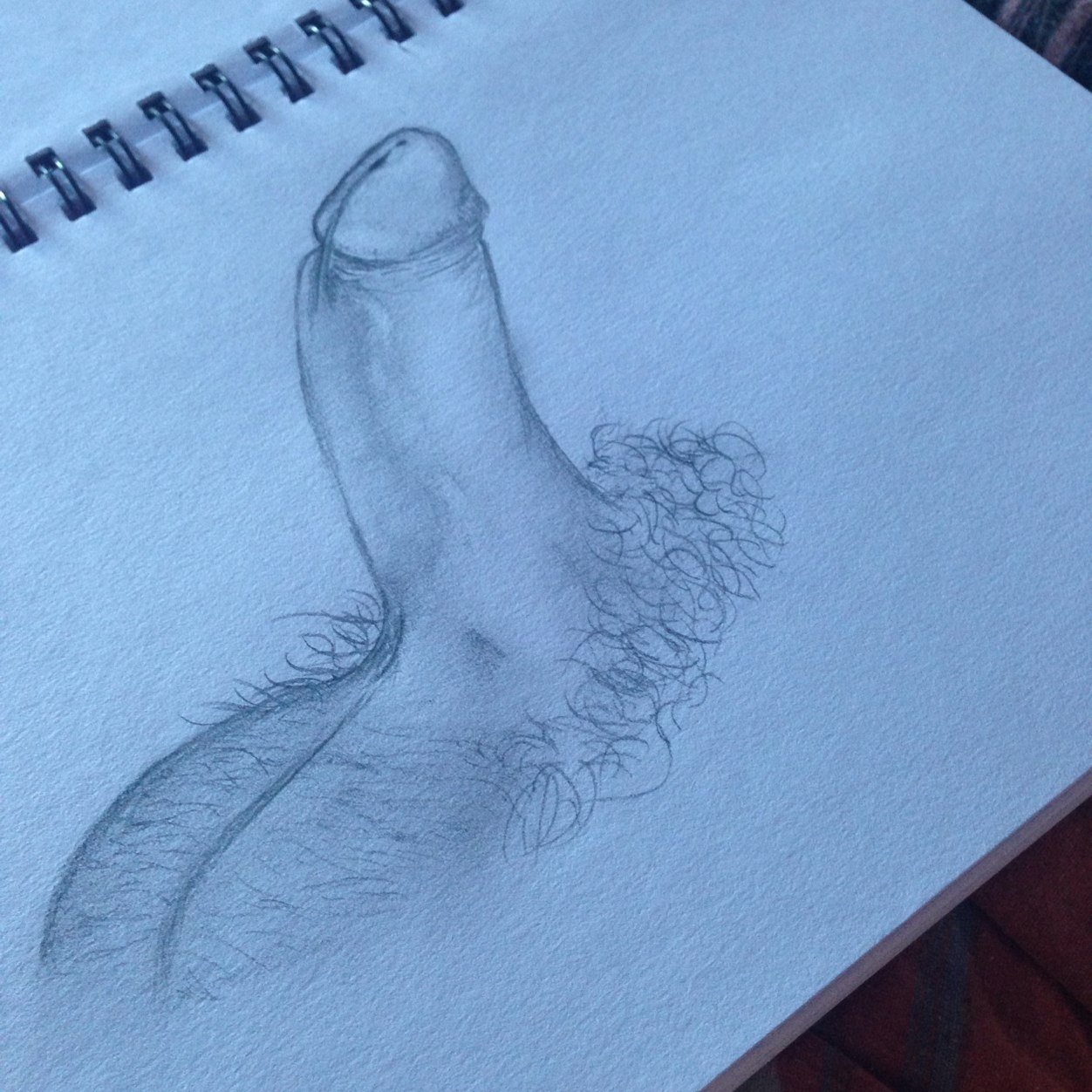 TheAnnoyingNob's profile picture. 