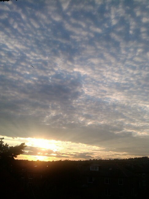 But sometimes, I like to close my eyes and imagine what happens when summer does come.
