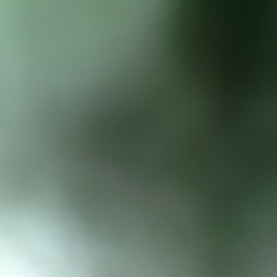 ILoveuSilly1998's profile picture. 