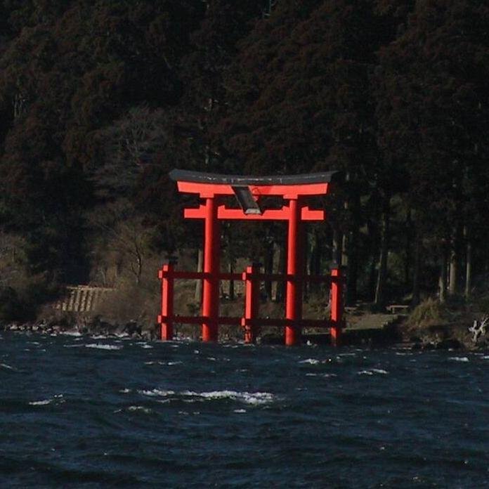 pmadfeeler1's profile picture. 