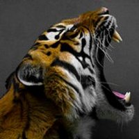 Jakub Viták (@mainiak_cz) Twitter profile photo