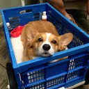 Elizabeth Thomason - @elthomason5 - Twitter