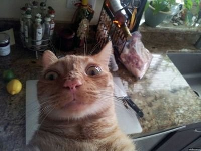 Lia_Budman's profile picture. 