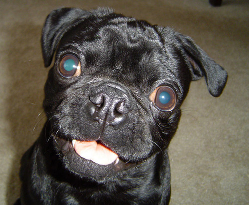 Corbettjc's profile picture. Inspired by actual events