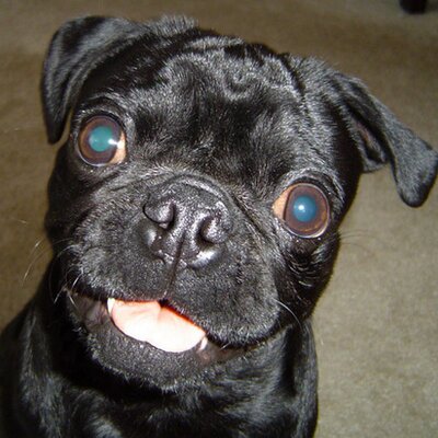 Corbettjc's profile image