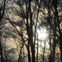 Jacquelyn Morrow - @MorrowJacquelyn - Twitter