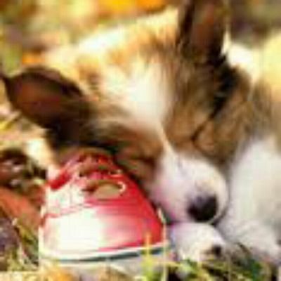 seansmith15com1's profile picture. 