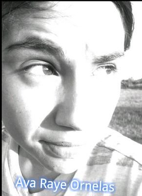 Hey my name is ava raye ornelas and im 13 years old. I'm setting out to be a boxer or an actor.