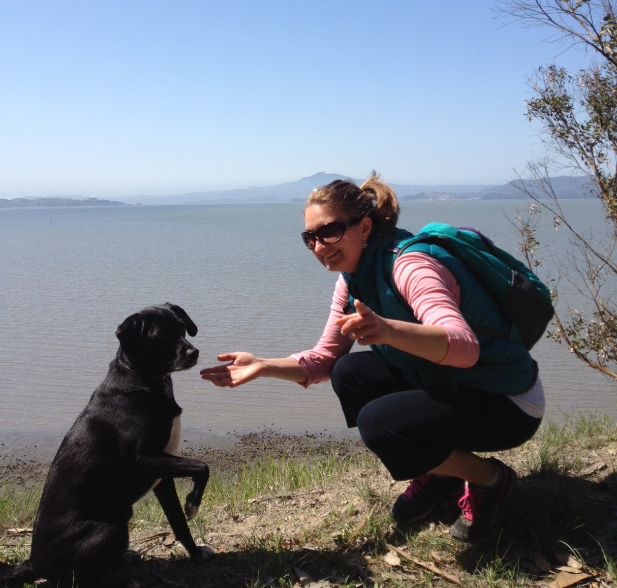 LFarrarAtWork's profile picture. I make science and #STEM media at KQED. Talk science to me. Tweets are my own