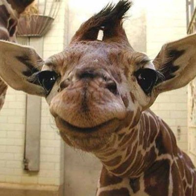 wambammy1's profile picture. TWIX TWIX TWIX TWIX TWIX TWIX TWIX TWIX TWIX TWIX TWIX TWIX TWIX TWIX TWIX TWIX TWIX TWIX mars TWIX TWIX TWIX TWIX TWIX TWIX TWIX TWIX TWIX