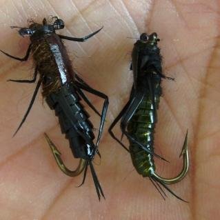 LARCON_DANIEL's profile picture. 