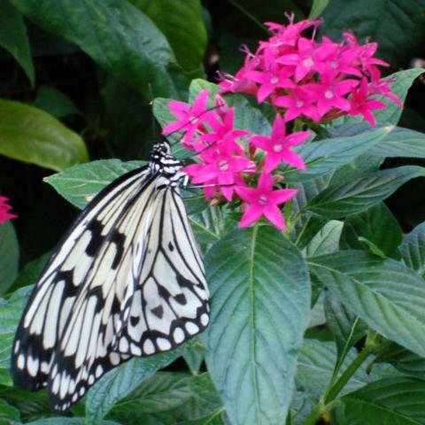 booksr4suz's profile picture. Addicted to any kind of romance books, my kindle & froyo...