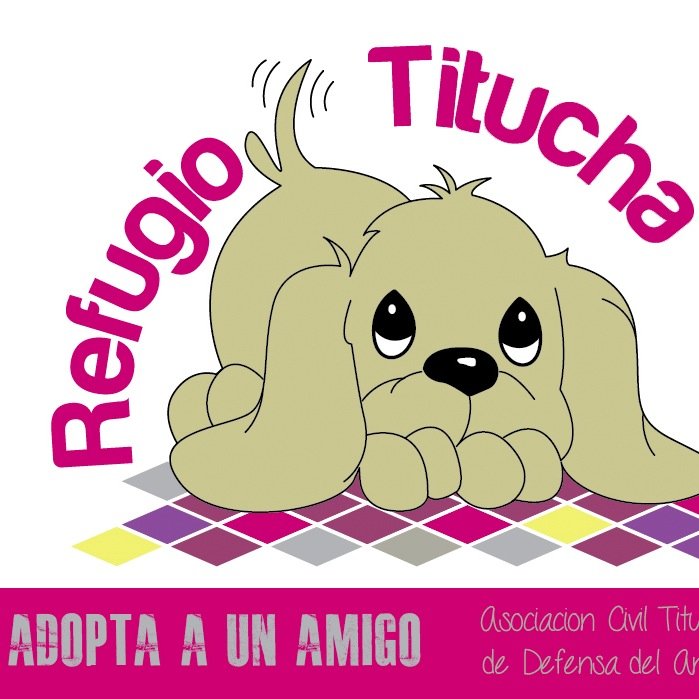 La ONG Titucha alberga a casi 900 perros. Necesita de tu ayuda para seguir adelante. Fundadora Delia Rovatti.