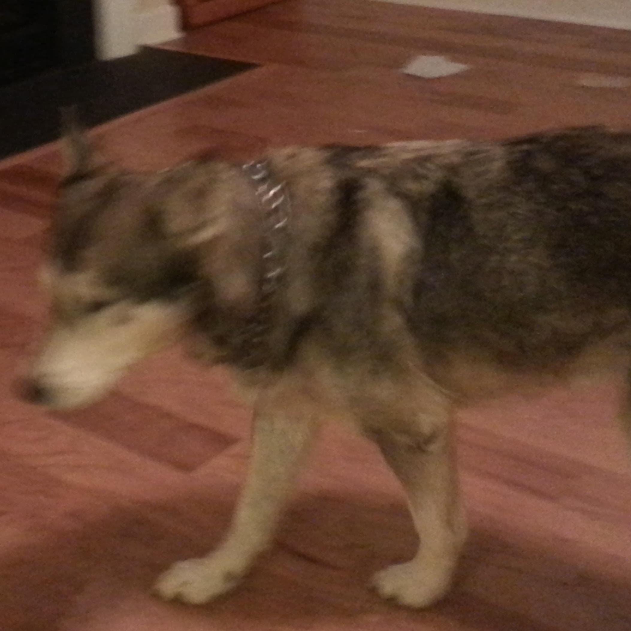 LizTaxDiva's profile picture. 