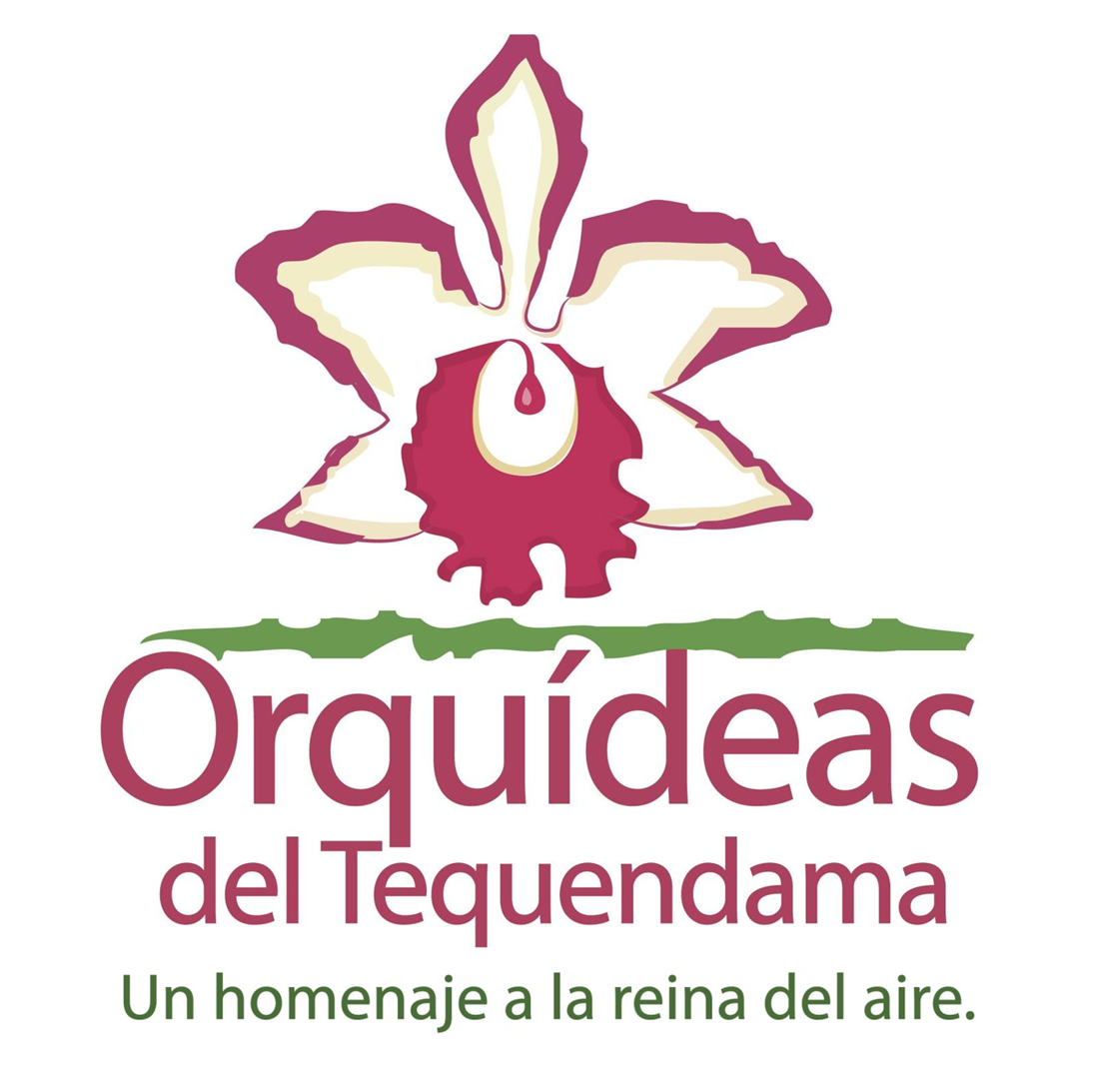 Destino que ofrece a sus visitantes un paseo con deliciosos aromas, colores y formas  en el reino de las flores más exóticas del mundo… las Orquídeas.