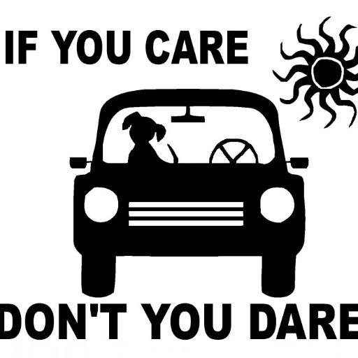 Vinyl1Creations's profile picture. Fundraising products for animal welfare organizations.
http://t.co/fR8D6iaYJe
#cardecals #carmagnets