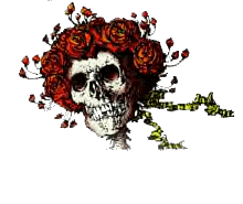 halvercrib's profile picture. 