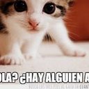 Nico Acevedo (@0320Nikito) Twitter