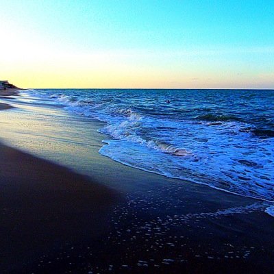 AlohaMelC's profile picture. Photographer / Illustrator / Graphic Designer / Marketing Director #Techie #DisneyNerd #FormerCM #BLM #LGBTQAlly #NeverTrumper #ScienceIsReal #BidenHarris #ERA