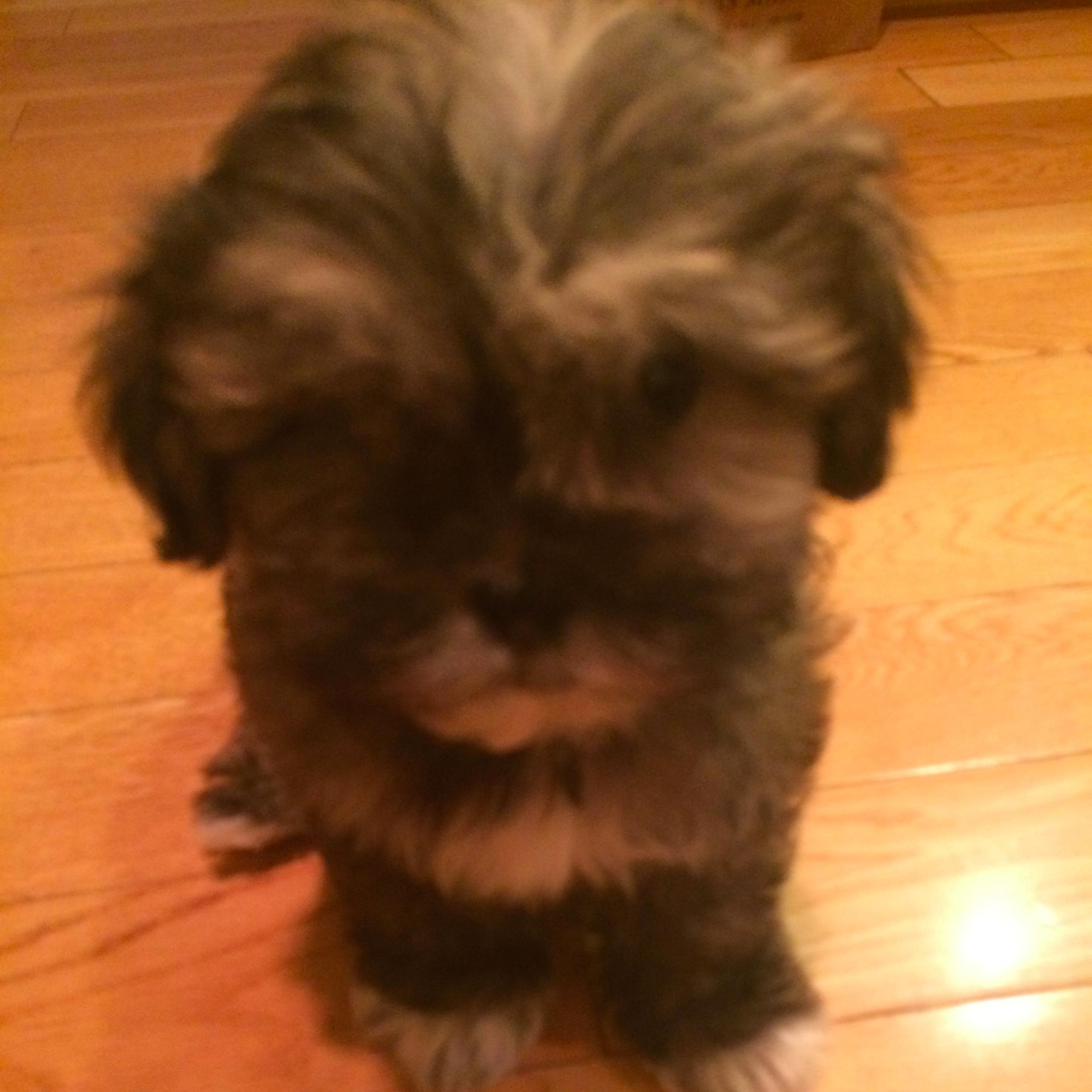 jamies333's profile picture. 