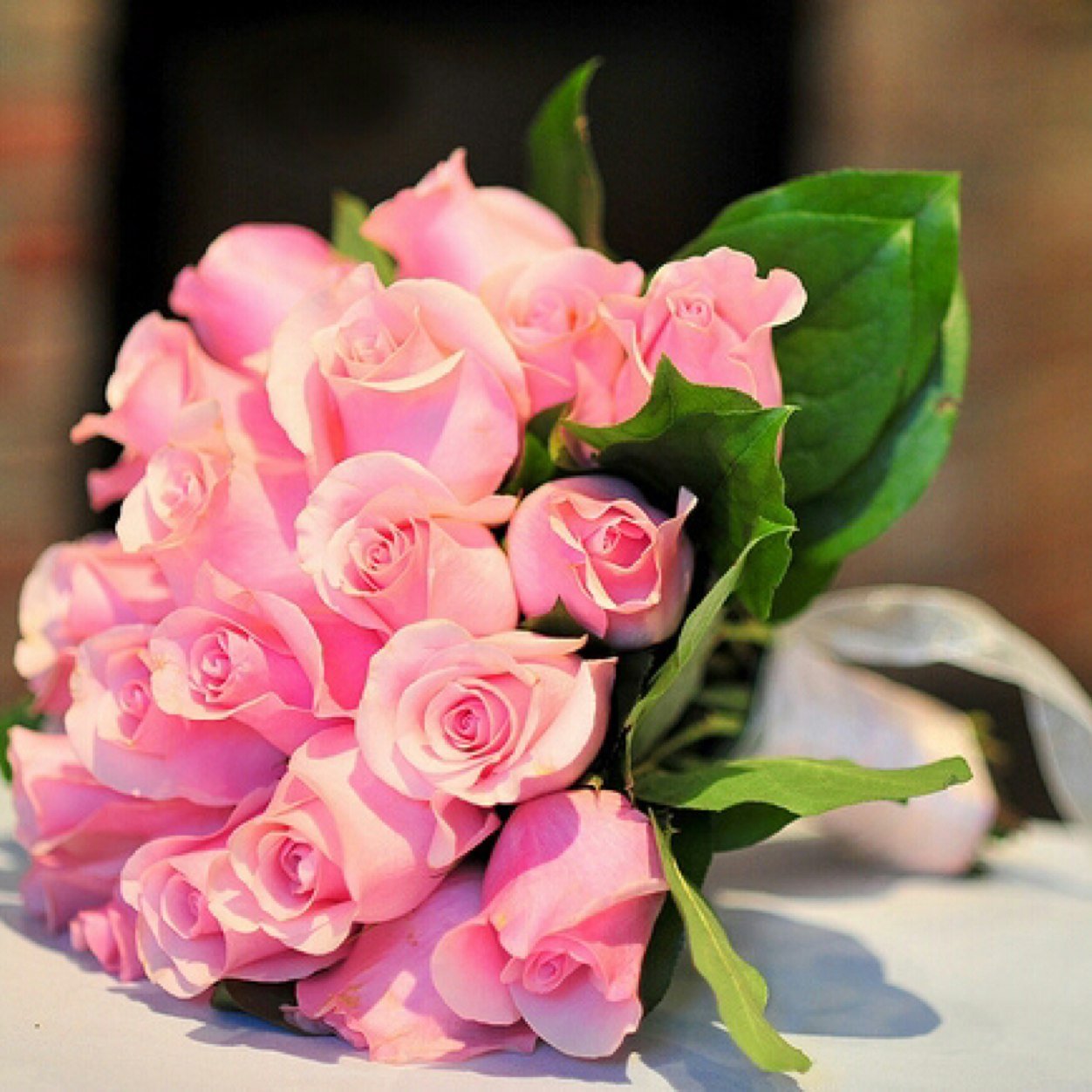 danihalharbi's profile picture. 