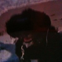Shelley M. Terry (@shelleymterry) 's Twitter Profile