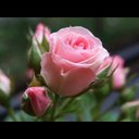 م (@05555haa) Twitter