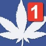 Acá twittea cualquiera. A veces uno y a veces otro. Todos okupas, squatters o como le quieran llamar.