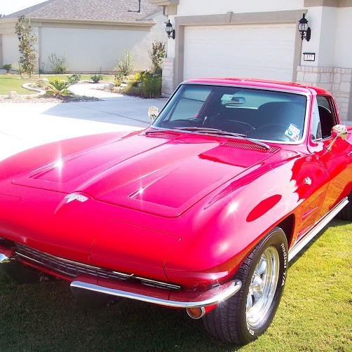 TexStarDetail's profile picture. 