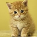 Amy Worth - @AmyWorth72 - Twitter