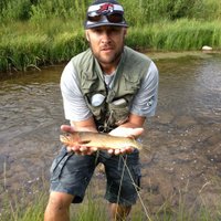 Jarod ingersoll (@ingy2929) 's Twitter Profile