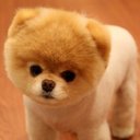 James - @jamesLamp2014 - Twitter