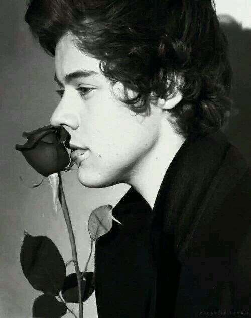 follow @tangasdeStyles and gain +3 followers