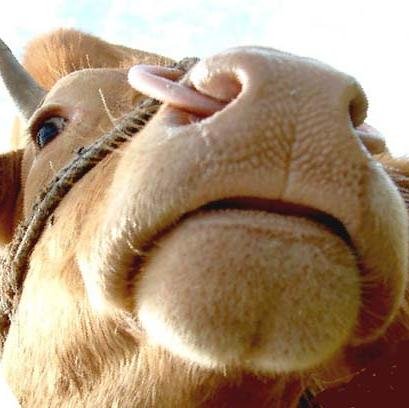 sohead45's profile picture. 그냥 직장인 20년차