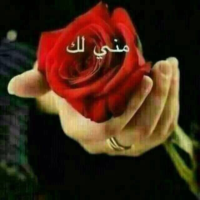 Daa_71's profile picture. 