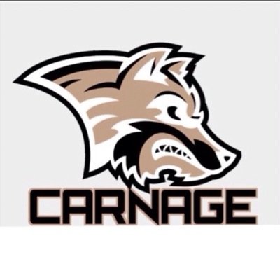 _CarnageClan's profile picture. @_CarnageEsports , @Carnage_eXe , vG Gaming , @EndeavourEU , @_CarnageSniping | Sponsors: @NoScopeGlasses, @Playmakerllc, @Gamers_Apparel