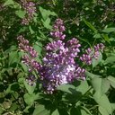 Erin Masters - @erindmasters - Twitter