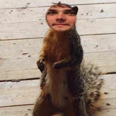 Free follow from @frnkierocantdie