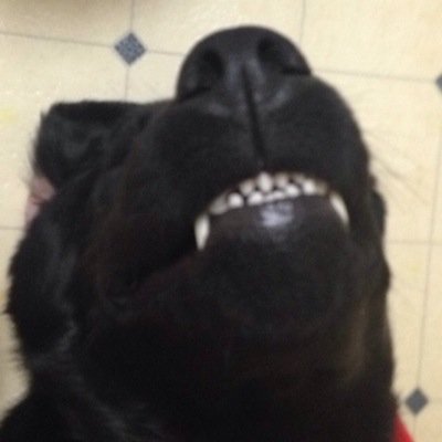 FordLab's profile picture. 