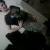 LAURIN (@laurinmendez) Twitter profile photo
