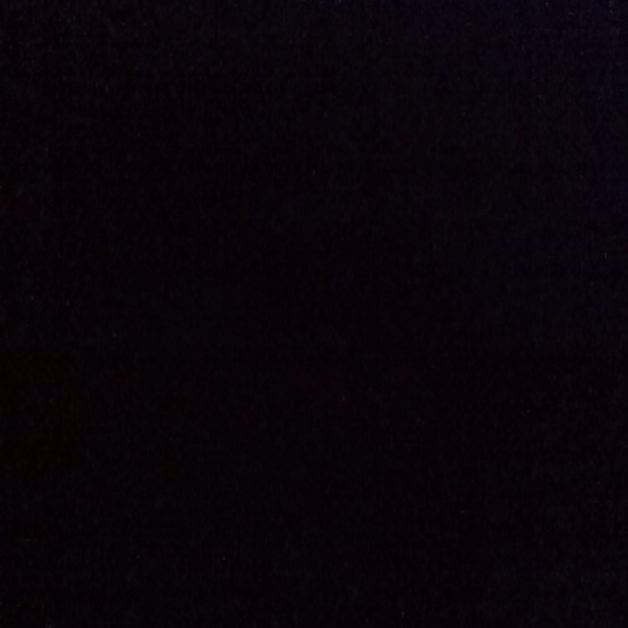 bitchfestt's profile picture. 