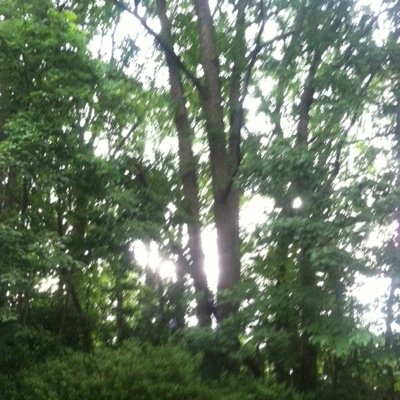 Christi85206288's profile picture. 