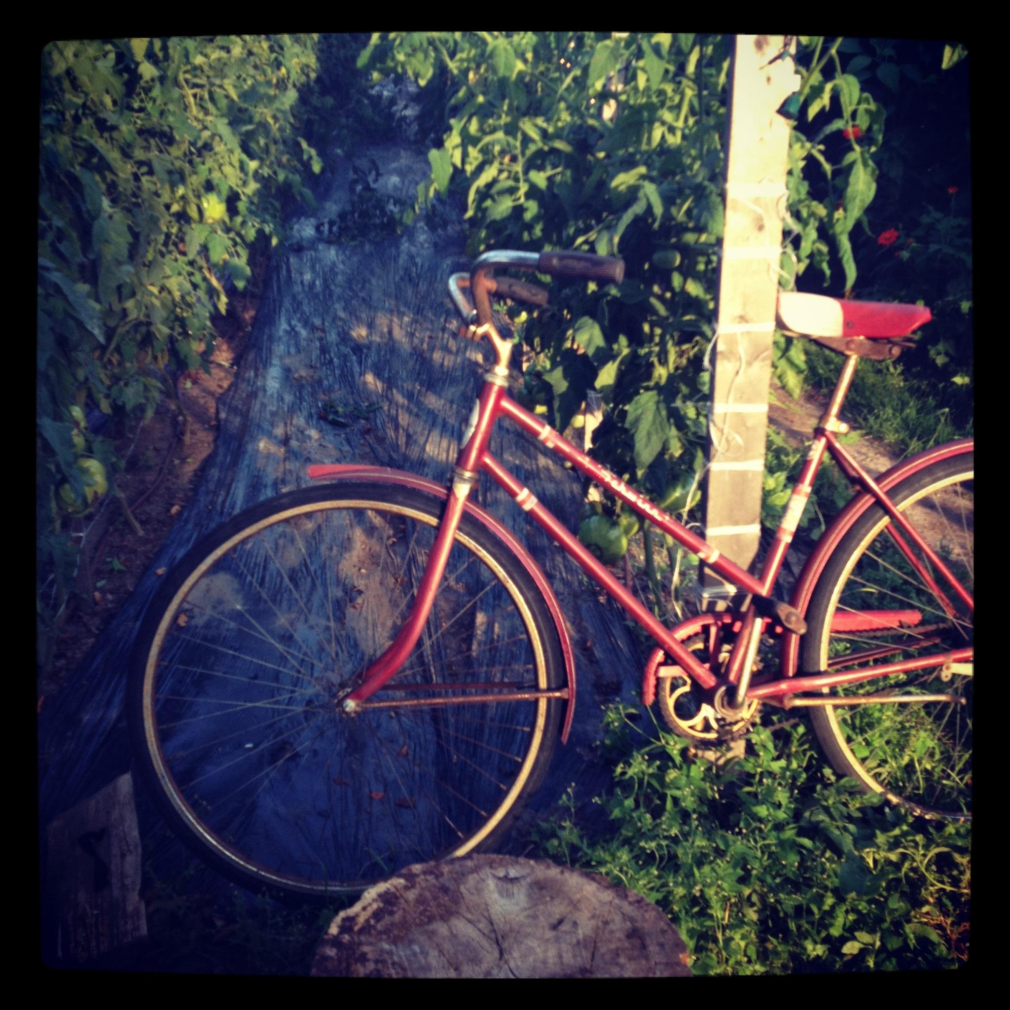 sugarandolives's profile picture. Pure, Slow + Real Food.