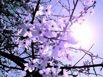 لاتدري لعل الله يحدث بعد ذلك امر