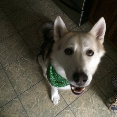 BJohns819's profile picture. 