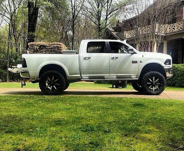 Codybutler17's profile picture. Just a good ole boy from Iowa and I love Copenhagen, huntin, Cummins engines and showin cattle.        wake up put a good dip in crack a cold one  YEE YEE